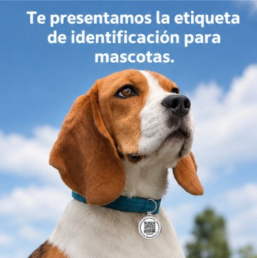 Chapa de Identificación QR Antipérdida - PAWTIS