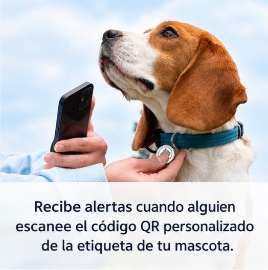Chapa de Identificación QR Antipérdida - PAWTIS