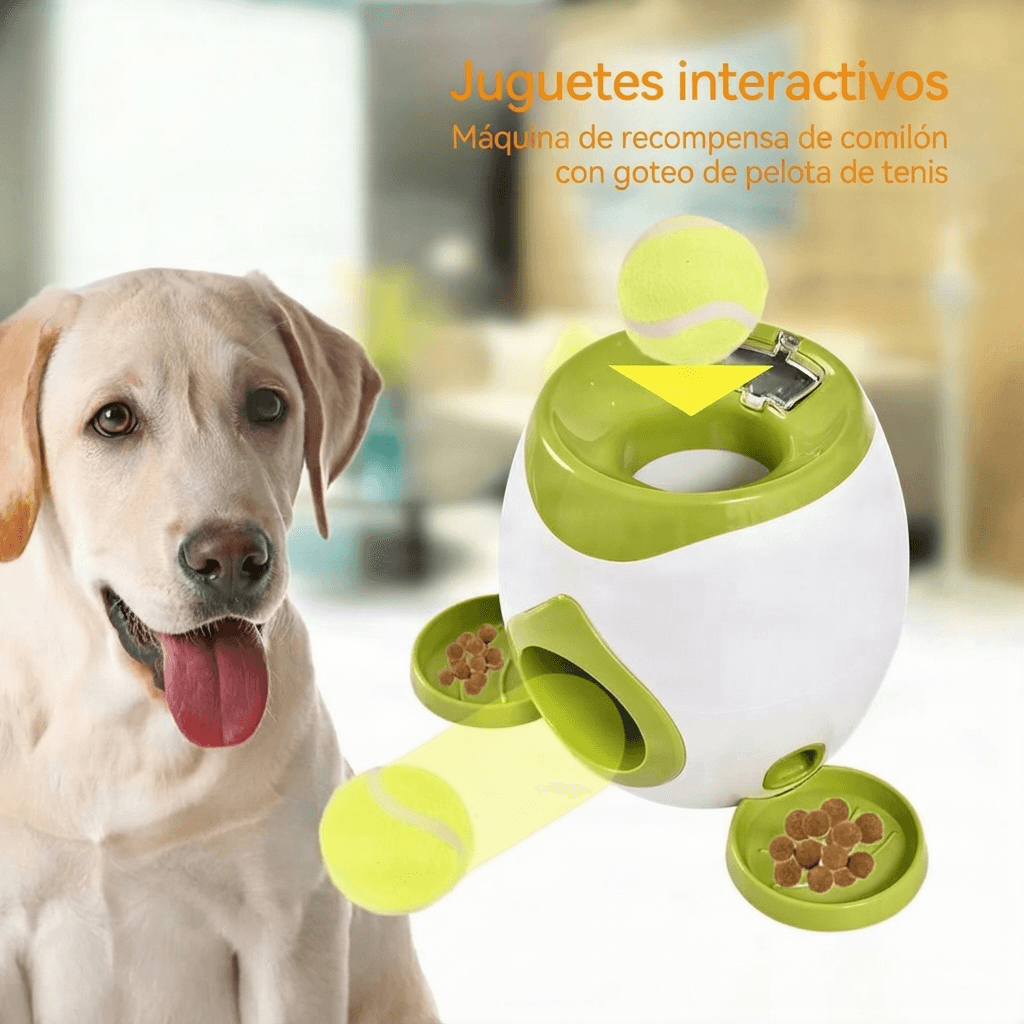 Lanzador Automático de Pelotas para Perros - PAWTIS